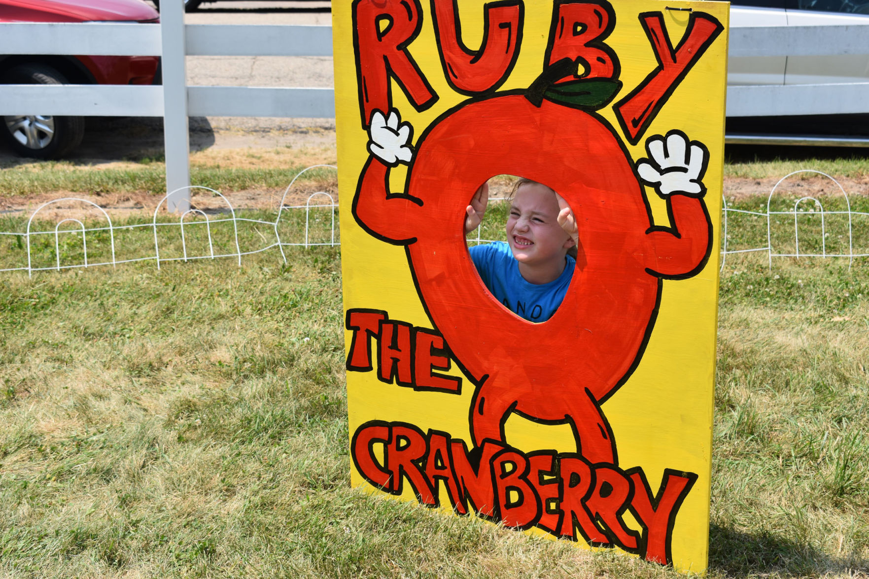 Lodi Fair cranberry maze